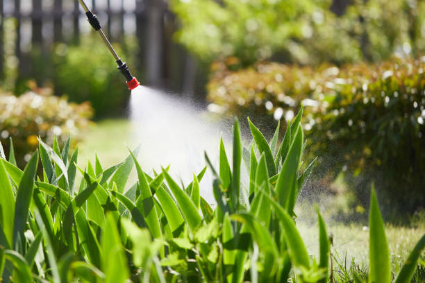 24/7 Emergency Pest Control experts in Crow Agency, MT