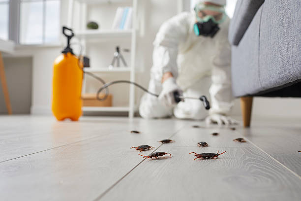 Affordable Pest Control solutions in Crow Agency, MT